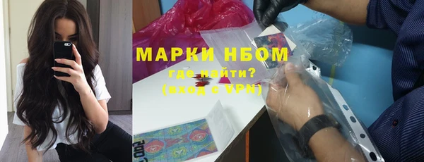 крисы Медногорск