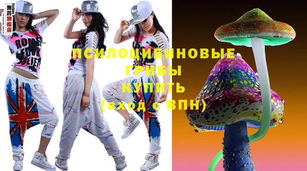 крисы Медногорск