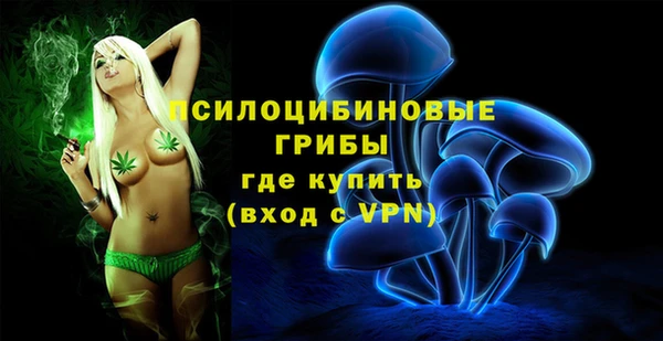гидропоника Медвежьегорск