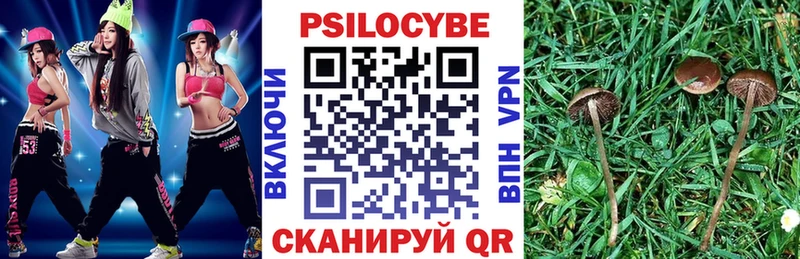 Псилоцибиновые грибы мицелий darknet Telegram Шлиссельбург